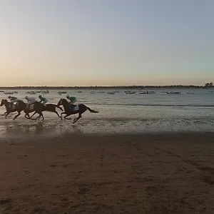 Idalia 19 Atico Sanlúcar de Barrameda